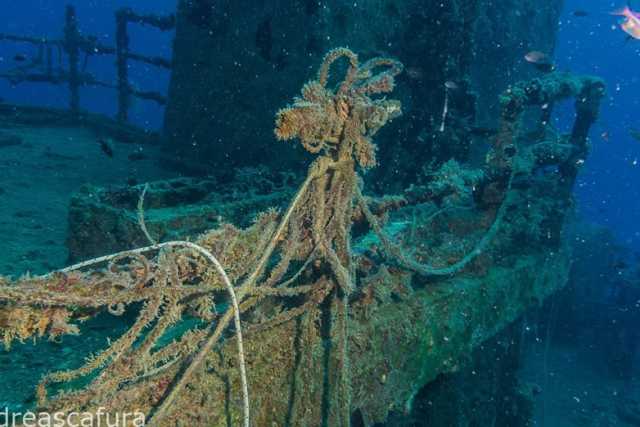 Navi, pescherecci e sommergibili: viaggio tra i relitti che giacciono sul fondo del mare